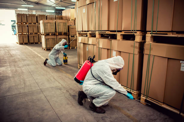 Best Flea Control Services  in Coconut Creek, FL