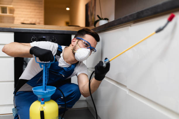 Best Mosquito Control Services  in Coconut Creek, FL