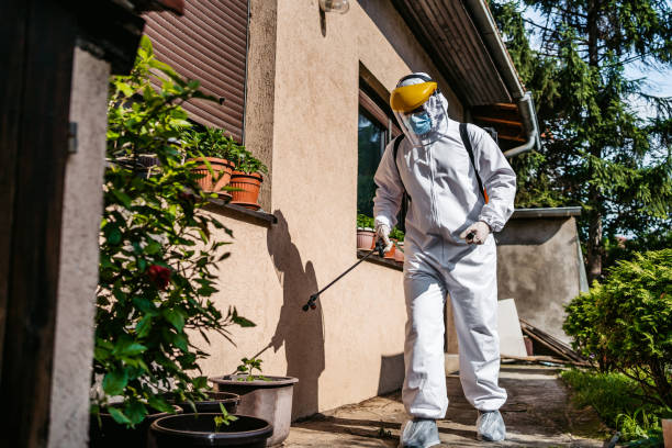 Best Pest Control for Restaurants  in Coconut Creek, FL