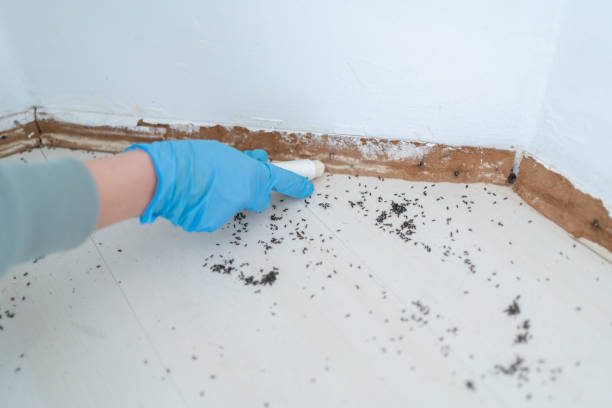 Best Emergency Pest Control  in Coconut Creek, FL