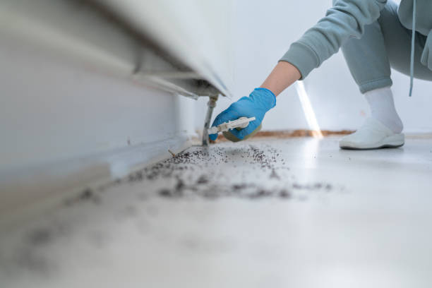Best Termite Control Services  in Coconut Creek, FL